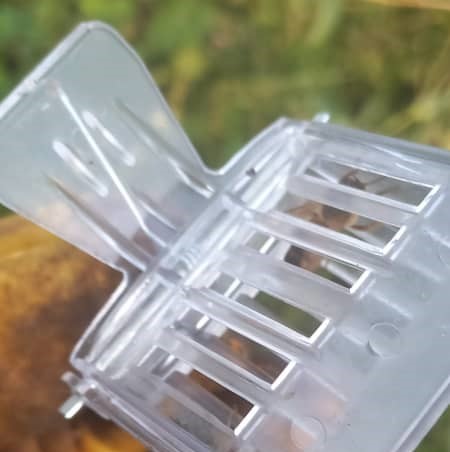 Queen Bee Catcher